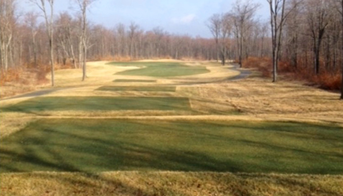 FallApplication-Golf-sm