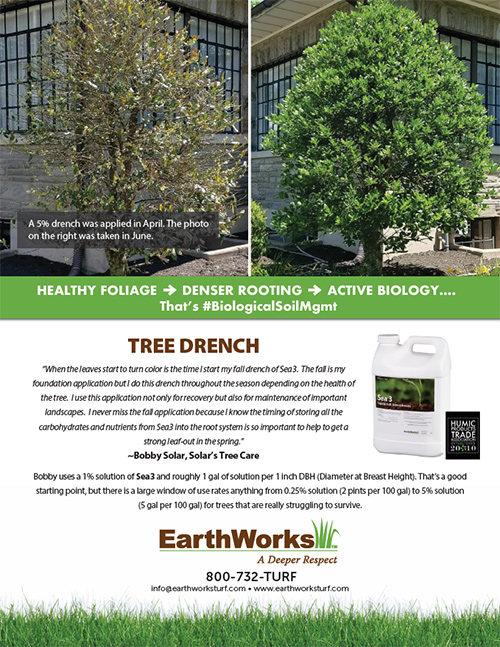 TreeDrenchTechSheet-Image