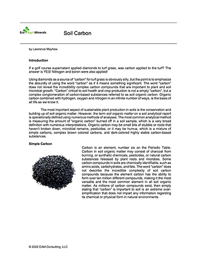 Soil Carbon by Lawrence Mayhew