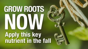 Grow Roots Now - Apply this key nutrient in the fall