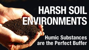 Harsh Soil Environments - Humic Substances are the Perfect Buffer