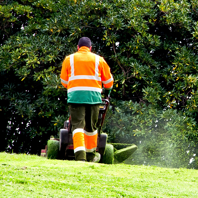 Lawn and Landscapers