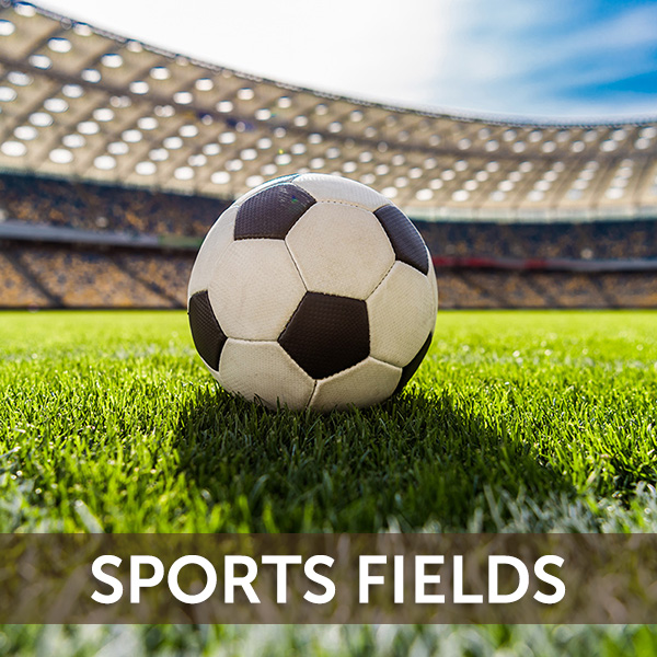 Organic Based Fertilizers for Sports Turf