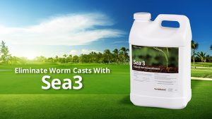 Eliminate Worm Casts with Sea3